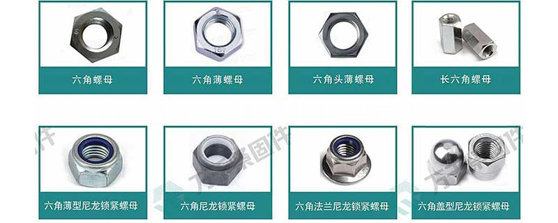 福建不锈钢螺母
